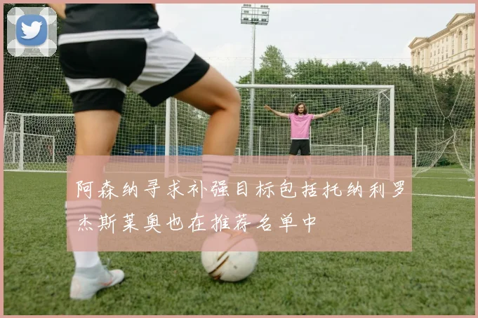阿森纳寻求补强目标包括托纳利罗杰斯莱奥也在推荐名单中